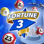 Fortune 3